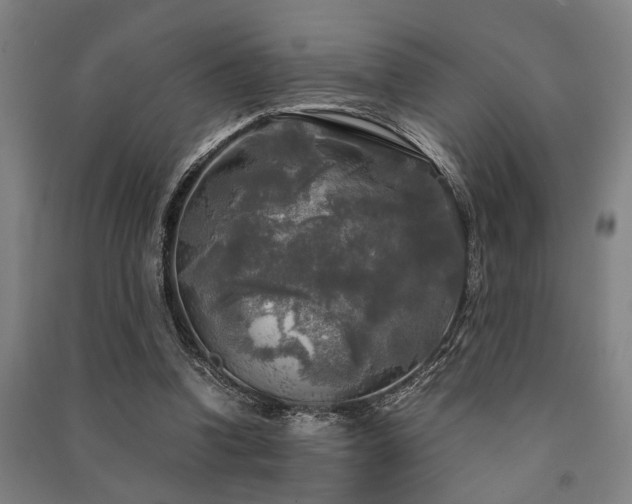 X0000091480346200708161423