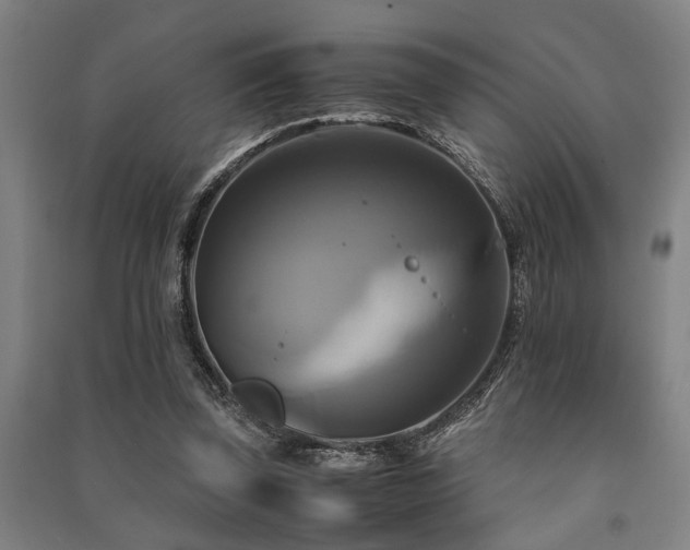X0000091480347200708161423