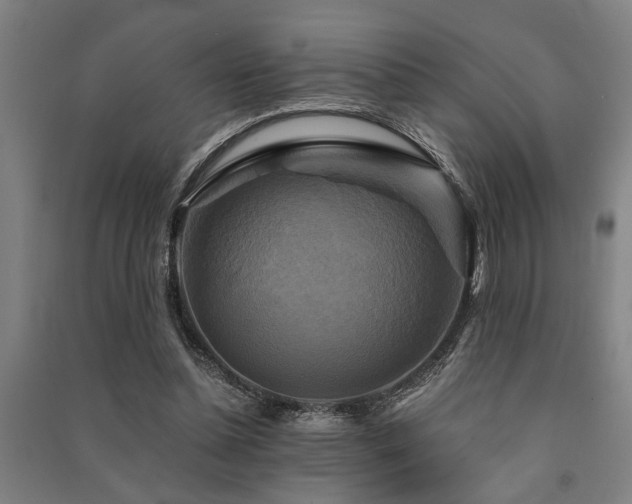 X0000091480348200708161423