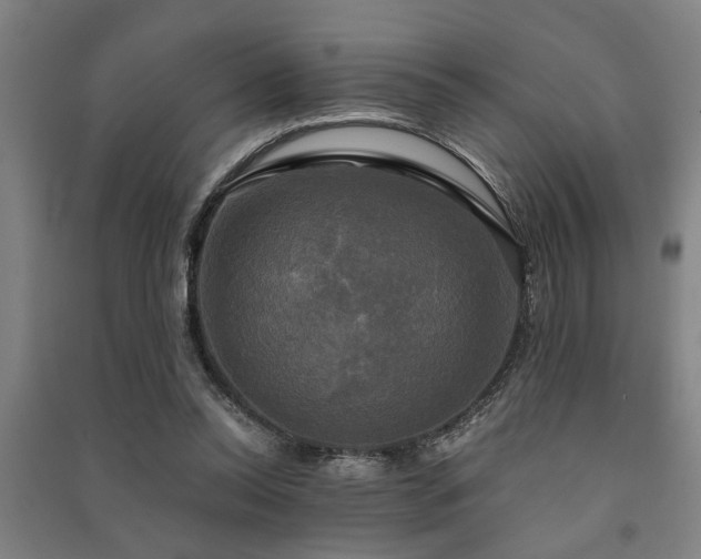 X0000091480350200708161423