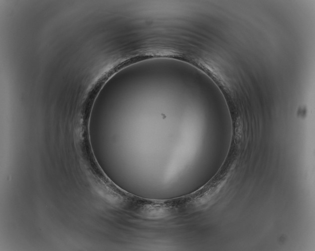 X0000091480351200708161423