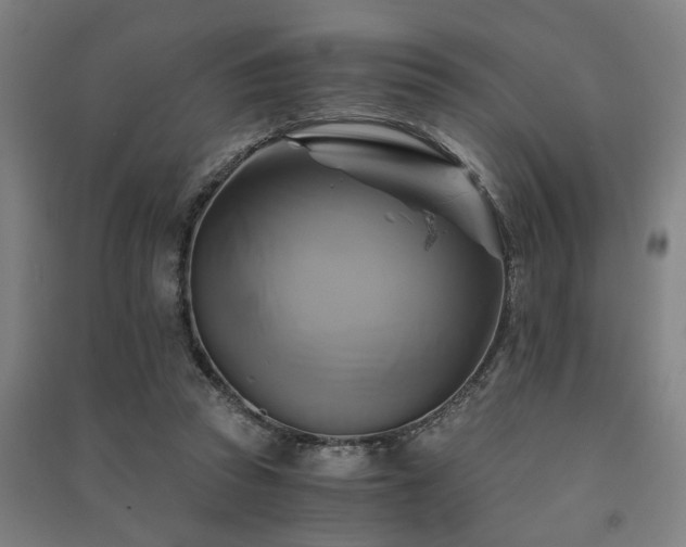 X0000091480353200708161423