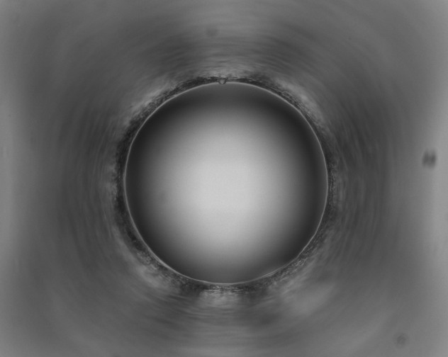 X0000091480354200708161423