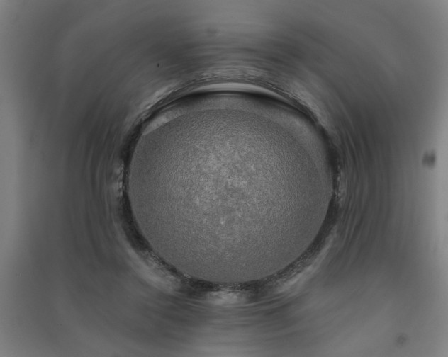 X0000091480356200708161423
