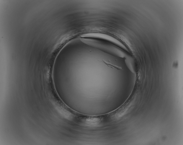 X0000091480357200708161423