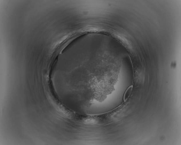 X0000091480358200708161423