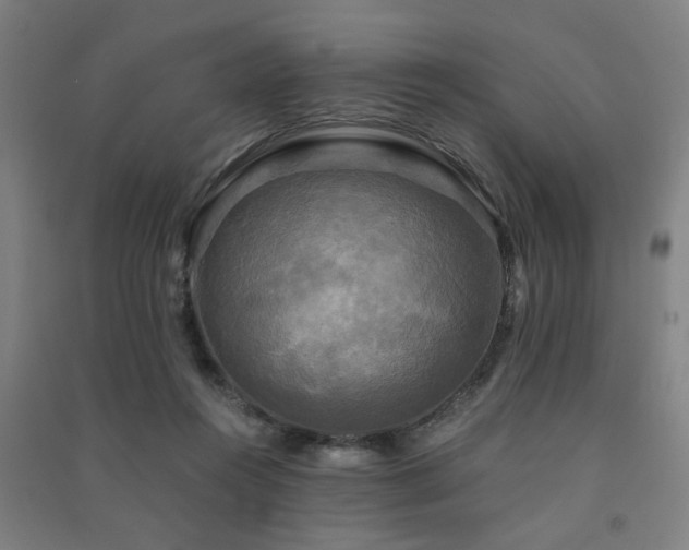 X0000091480360200708161423