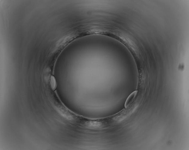 X0000091480361200708161423