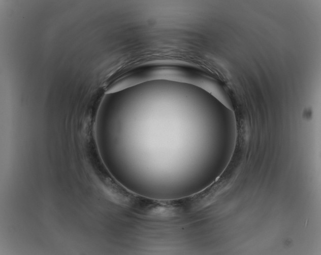 X0000091480364200708161423
