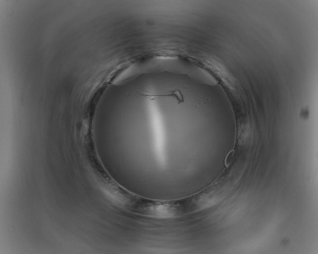 X0000091480365200708161423