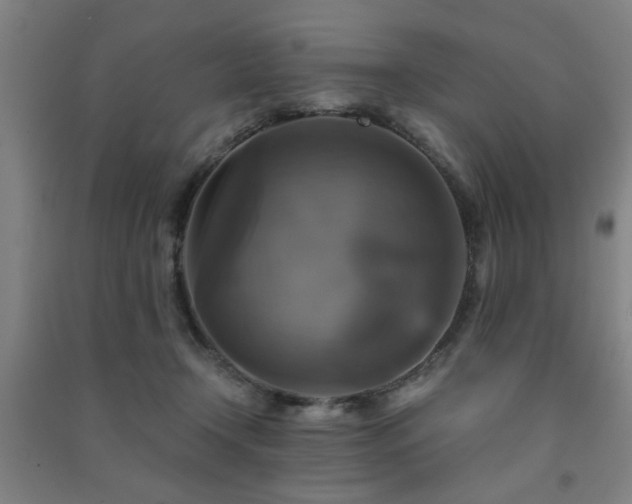 X0000091480366200708161423
