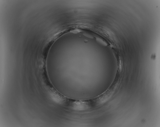 X0000091480367200708161423