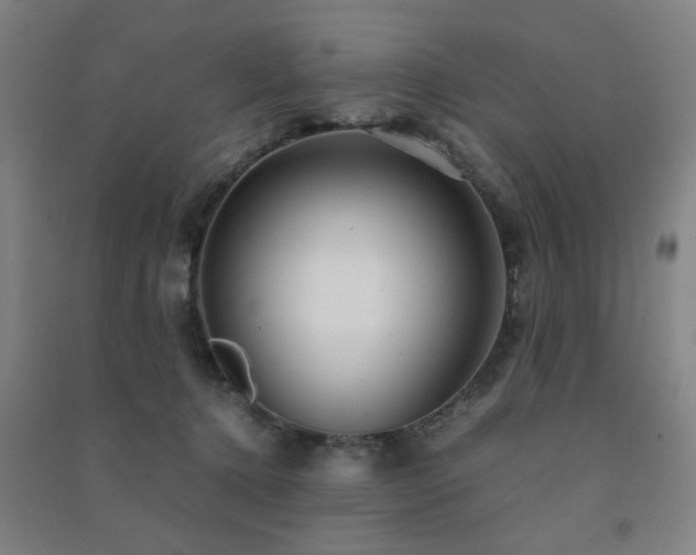 X0000091480368200708161423