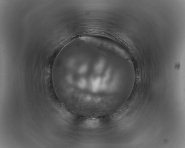 X0000091480369200708161423
