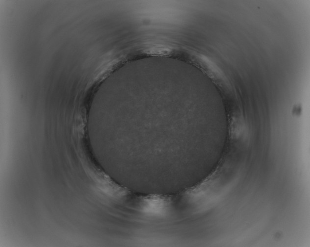 X0000091480370200708161423