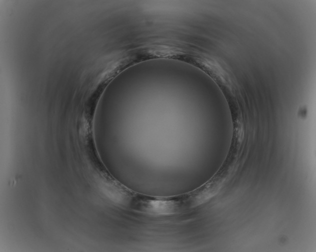 X0000091480371200708161423