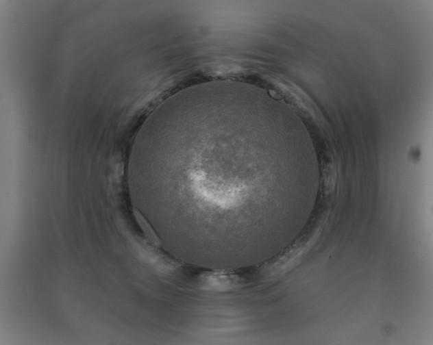 X0000091480372200708161423