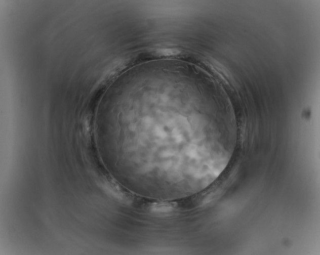 X0000091480373200708161423