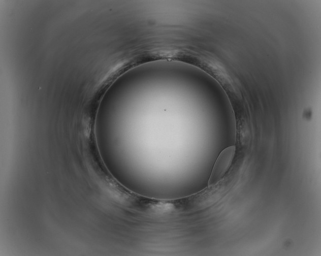 X0000091480374200708161423