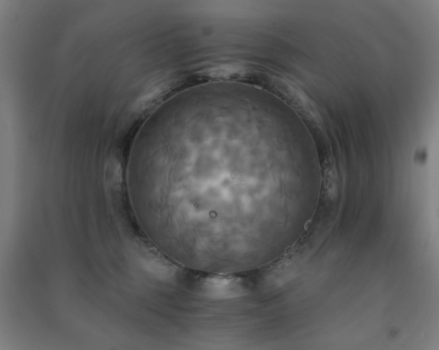 X0000091480375200708161423