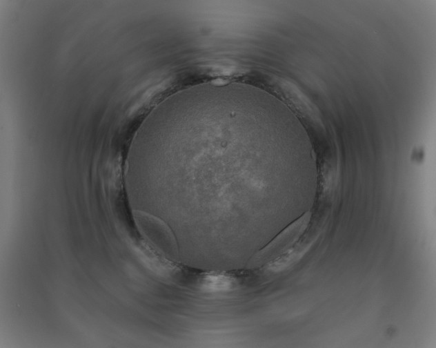 X0000091480376200708161423