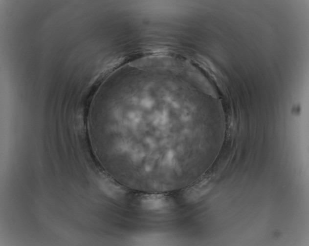 X0000091480377200708161423