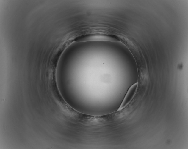 X0000091480379200708161423