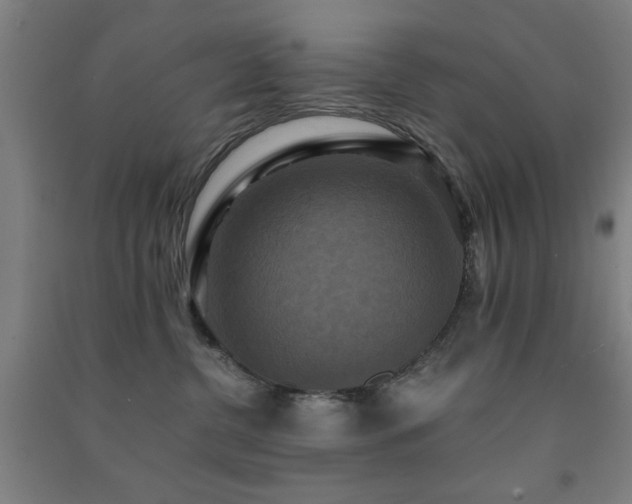 X0000091480380200708161423