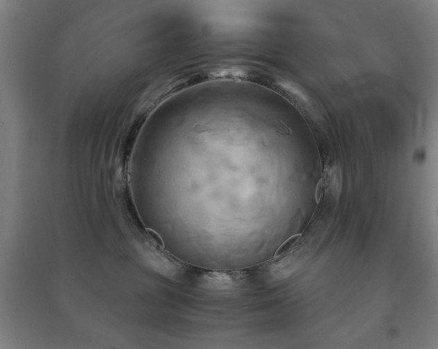 X0000091480381200708161423
