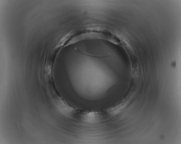 X0000091480382200708161423