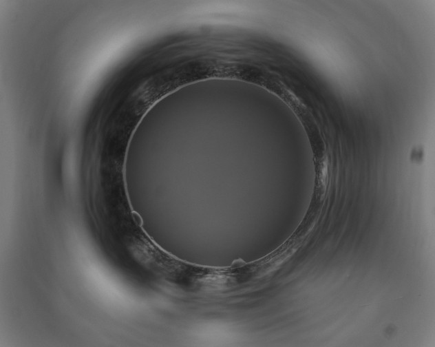 X0000091480383200708161423