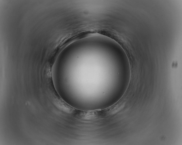 X0000091480384200708161423