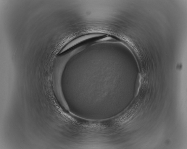 X0000091480385200708161423