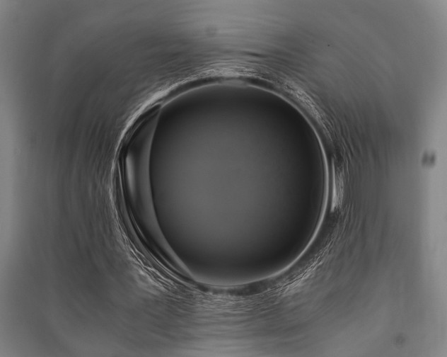 X0000091480387200708161423