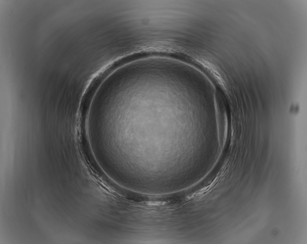 X0000091480388200708161423