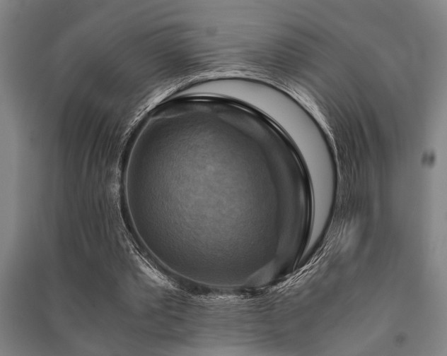 X0000091480389200708161423