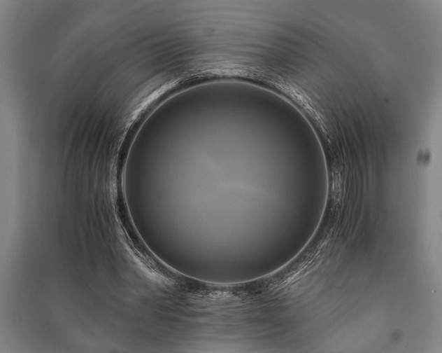 X0000091480390200708161423