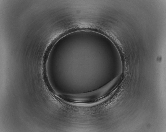 X0000091480391200708161423