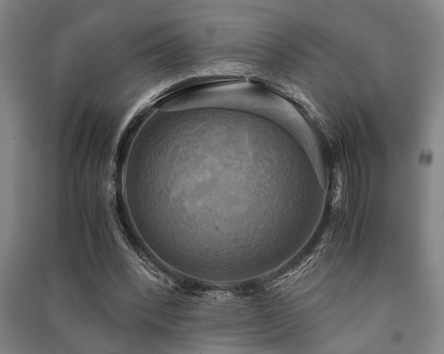 X0000091480392200708161423