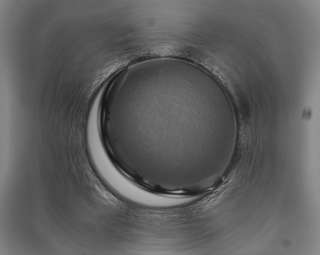 X0000091480393200708161423