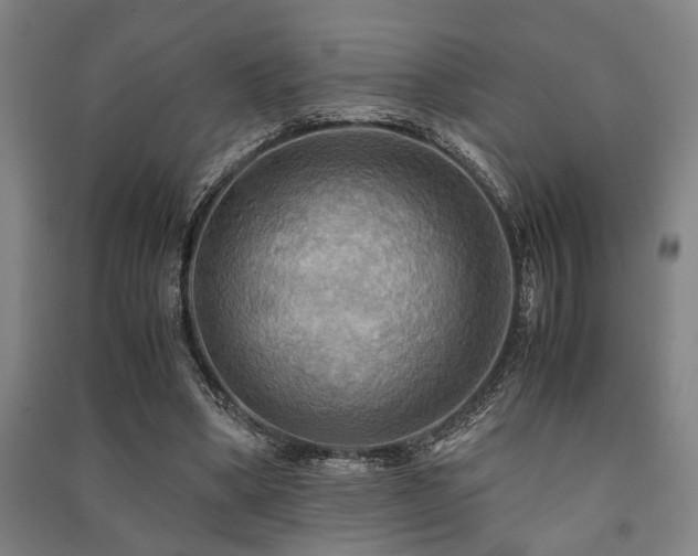 X0000091480394200708161423