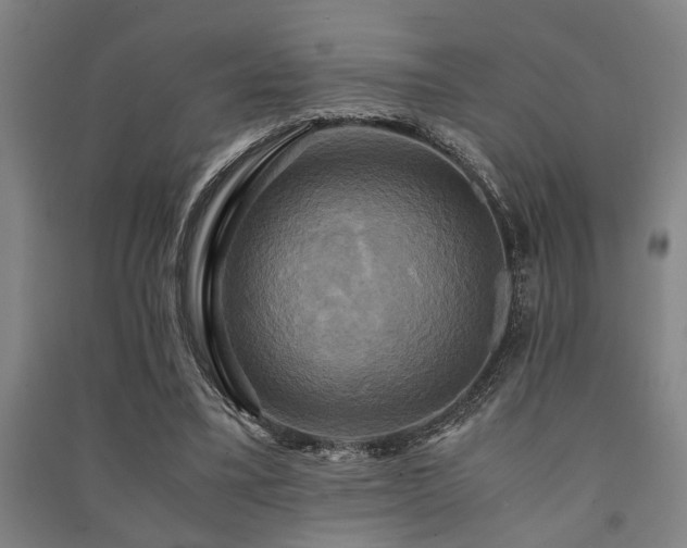 X0000091480395200708161423