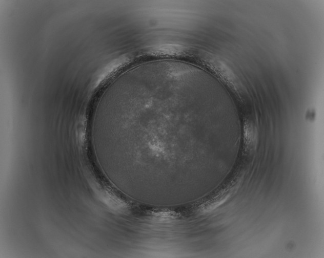 X0000091480396200708161423