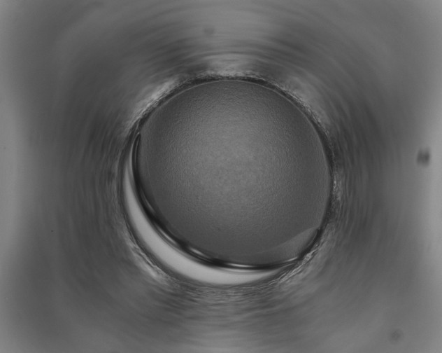 X0000091480397200708161423