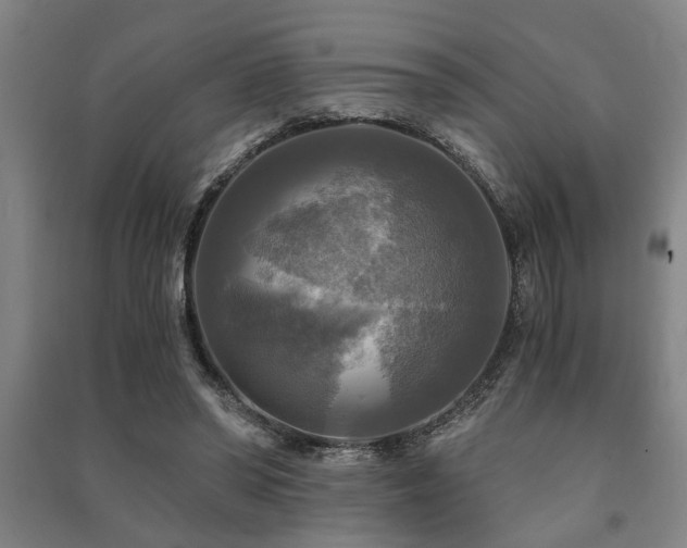 X0000091480398200708161422