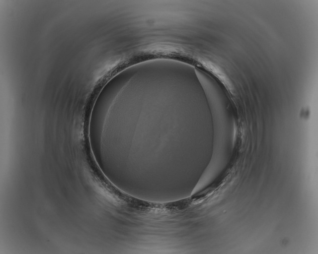 X0000091480399200708161422