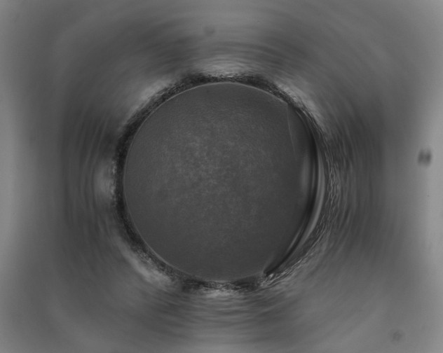 X0000091480400200708161422