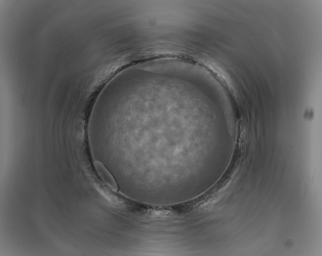 X0000091480401200708161422
