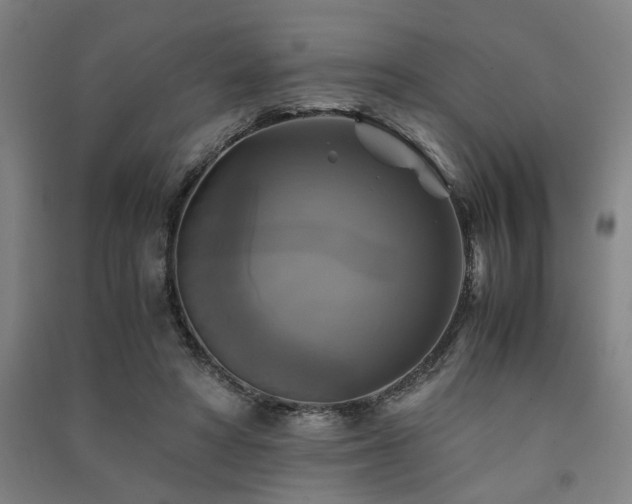 X0000091480402200708161422