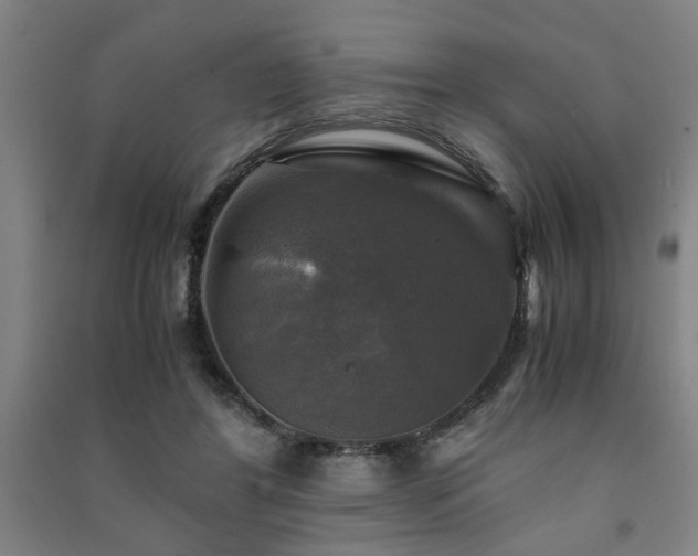X0000091480404200708161422